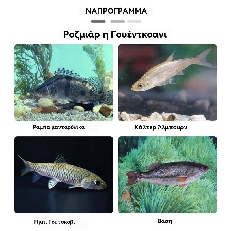 🎣【12/ τεμ.】 μαλακά δολώματα ψαρέματος με πολλά προ-εξοπλισμένα κεφάλια jig