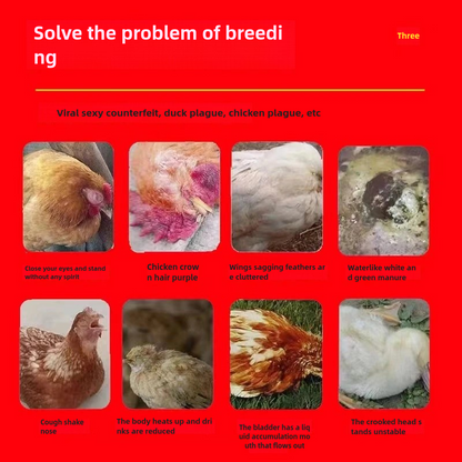 🐔🦆🪿Ειδικά αποτελεσματικό αντιγριπικό φάρμακο για κοτόπουλα, πάπιες, χήνες και πουλερικά