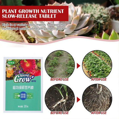 【6 κουτιά】Γενικές ταμπλέτες θρέψης φυτών --- λίπασμα φυτών
