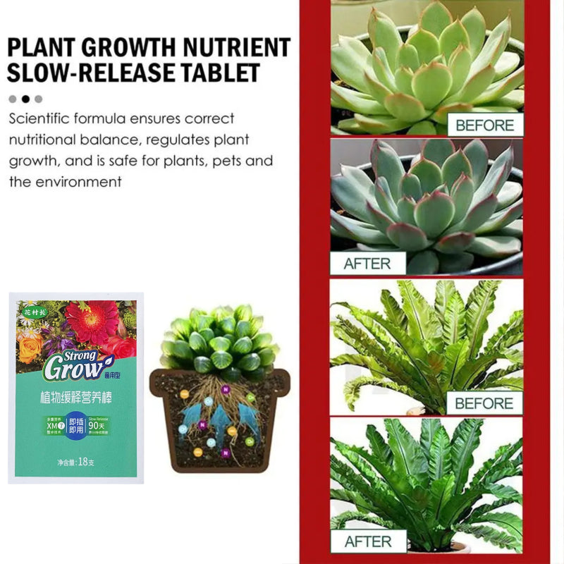 【6 κουτιά】Γενικές ταμπλέτες θρέψης φυτών --- λίπασμα φυτών