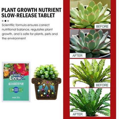 【6 κουτιά】Γενικές ταμπλέτες θρέψης φυτών --- λίπασμα φυτών