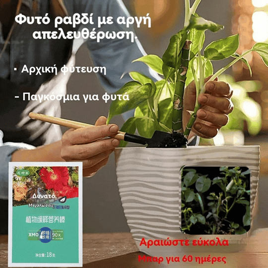 【6 κουτιά】Γενικές ταμπλέτες θρέψης φυτών --- λίπασμα φυτών