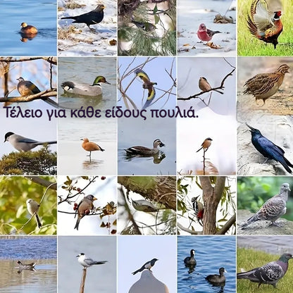 🐓🐦🔥【1 σετ 4 τεμαχίων】Εξωτερική παγίδα με ελατήριο, αυτοασφαλιζόμενη παγίδα υψηλής ευαισθησίας